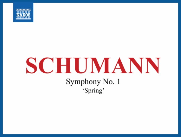 Symphony No. 1 in B-Flat Major, Op. 38 Spring: IV. Allegro animato e grazioso ft. Antoni Wit | Boomplay Music