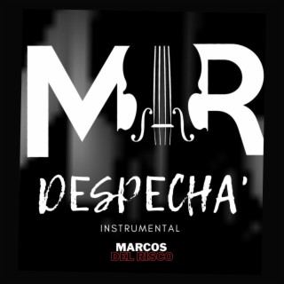 DESPECHA VIOLIN