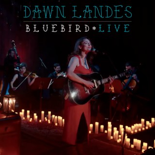 Bluebird (Live)