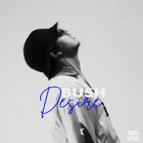 Désiré ft. Bush | Boomplay Music