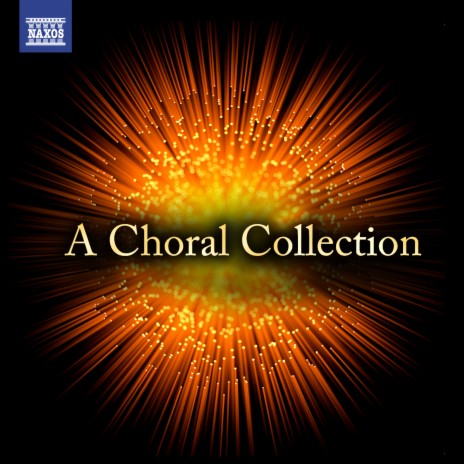 Ave Maria, Op. 12 ft. Warsaw Philharmonic Orchestra & Antoni Wit | Boomplay Music