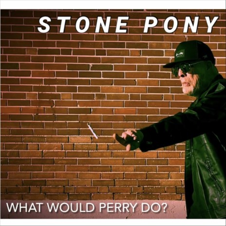 What Would Perry Do? (feat. Perry Thompson) | Boomplay Music