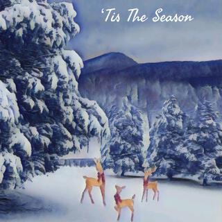 'Tis The Season lyrics | Boomplay Music