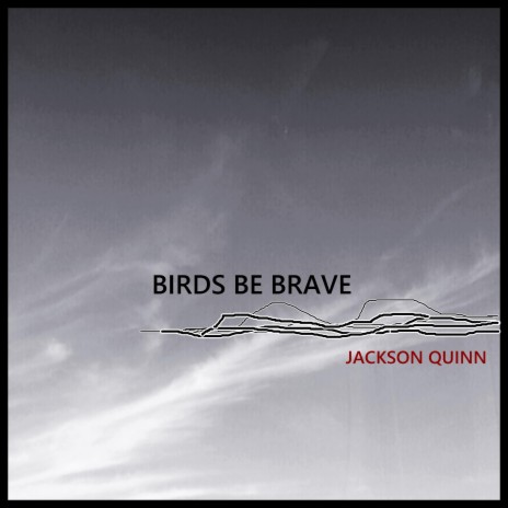 Birds Be Brave