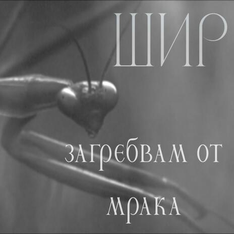 Загребвам от мрака | Boomplay Music