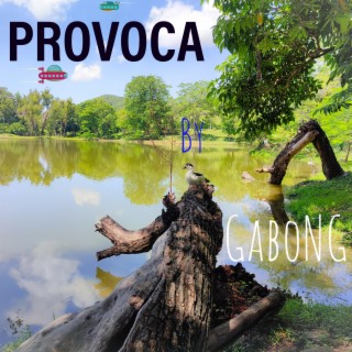 Provoca lyrics | Boomplay Music