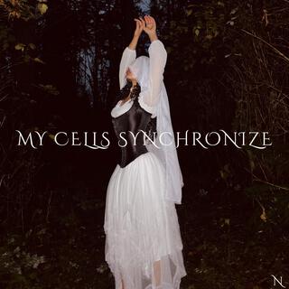 My Cells Synchronize lyrics | Boomplay Music