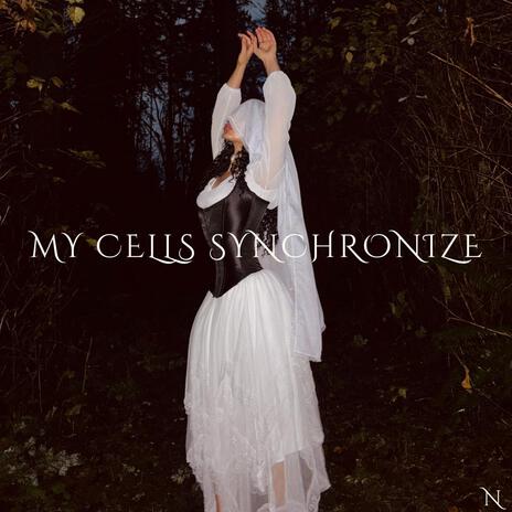 My Cells Synchronize | Boomplay Music