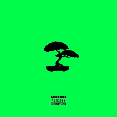 Bonsai | Boomplay Music