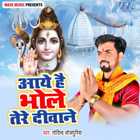 Aaye Hai Bhole Tere Diwane | Boomplay Music