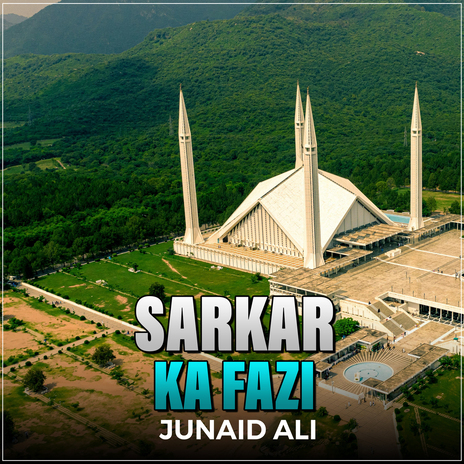 Sarkar Ka Fazi | Boomplay Music