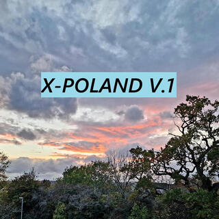 X Poland, Vol. 1