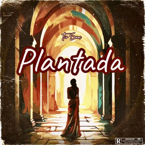 Plantada | Boomplay Music