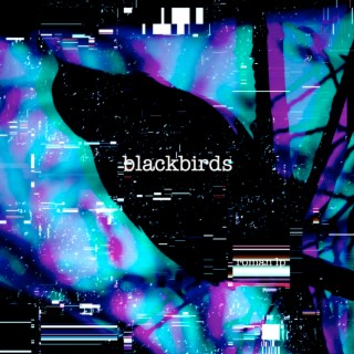 Blackbirds