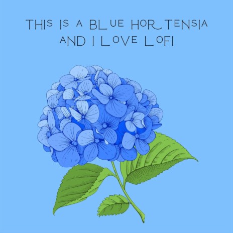 This Is a Blue Hortensia and i Love Lofi | Boomplay Music