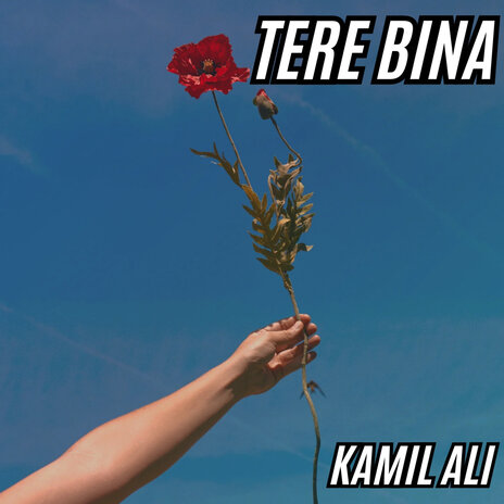 Tere Bina | Boomplay Music