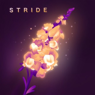 Stride lyrics | Boomplay Music