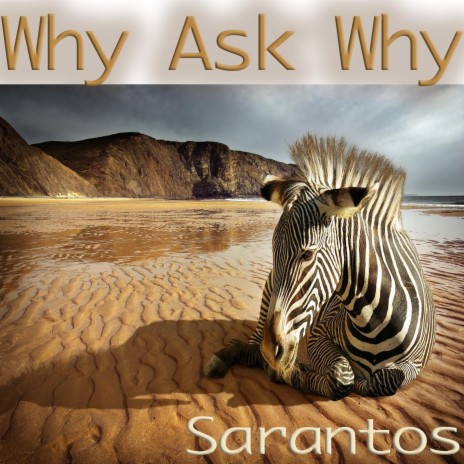 Why Ask Why | Boomplay Music