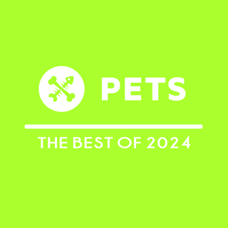 The Best Of Pets 2024