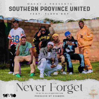 Never Forget (Southern Province United) [feat. FlavaBoy]