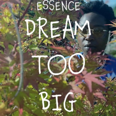 Dream Too Big | Boomplay Music