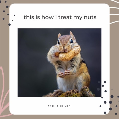 This Is How I Treat My Nuts and It Is Lofi | Boomplay Music