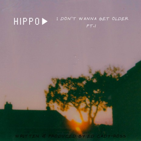 i don't wanna get older pt.1 | Boomplay Music