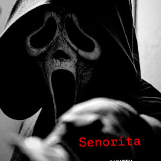 SENORITA lyrics | Boomplay Music