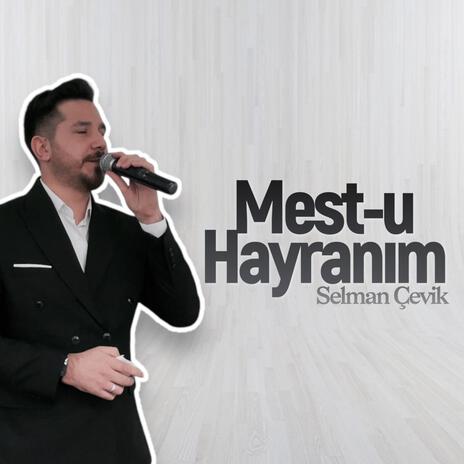 Mestu Hayranım | Boomplay Music