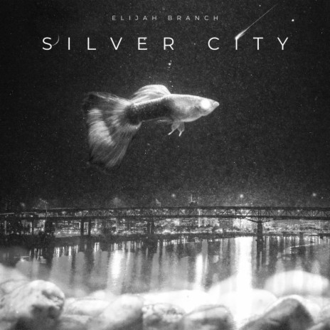 Silver City