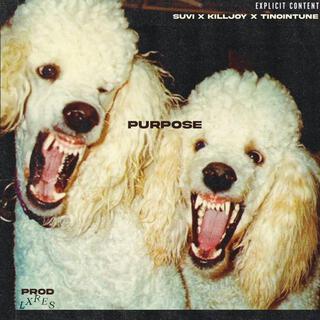 purpose ft. killjoy & TinoInTune lyrics | Boomplay Music