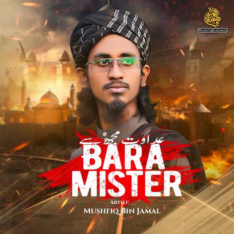 Bara Mister | Boomplay Music