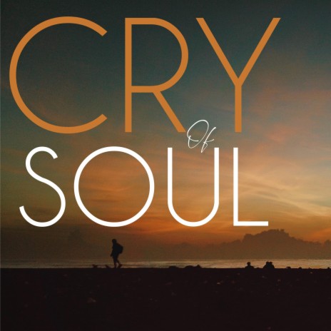 Cry of soul | Boomplay Music