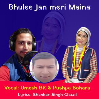 Bhulee Jan meri Maina