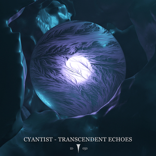 Transcendent Echoes