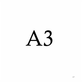 A3