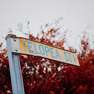 Telopea lyrics | Boomplay Music