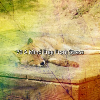 79 Un esprit libre de stress