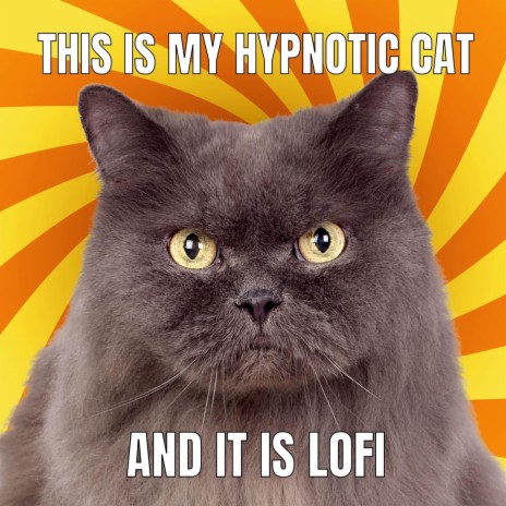 This Is My Hypnotic Cat and It Is Lofi