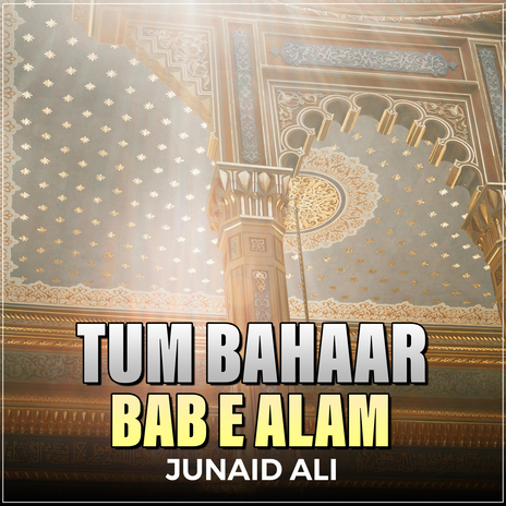 Tum Bahaar Bab e Alam | Boomplay Music