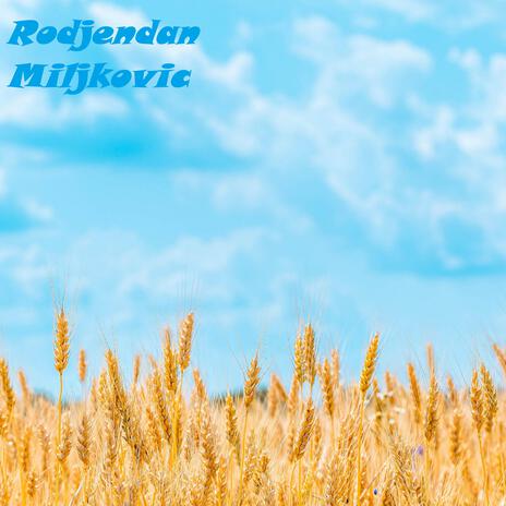 Rodjendan Miljkovic | Boomplay Music