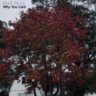 Why you lied