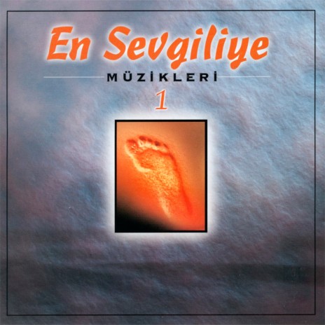 Bedir (Enstrümantal) ft. Mustafa Cihat