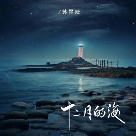 十二月的海 | Boomplay Music