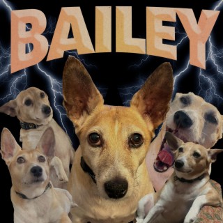 Bailey