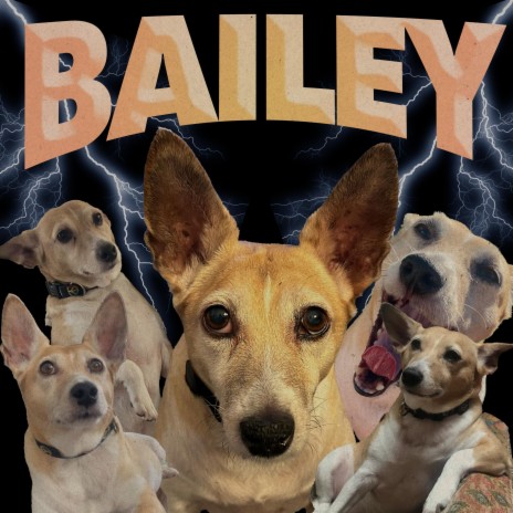 Bailey | Boomplay Music