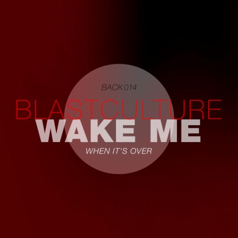 Wake me when it's over | Boomplay Music