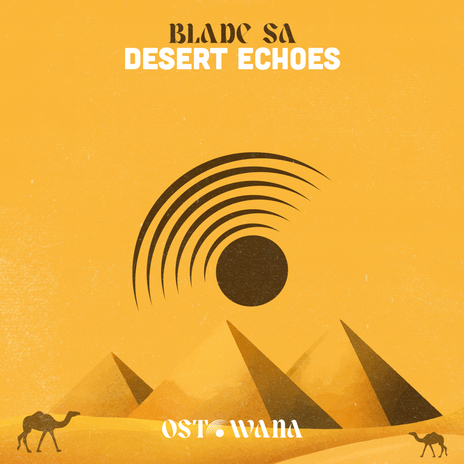 Desert Echoes | Boomplay Music