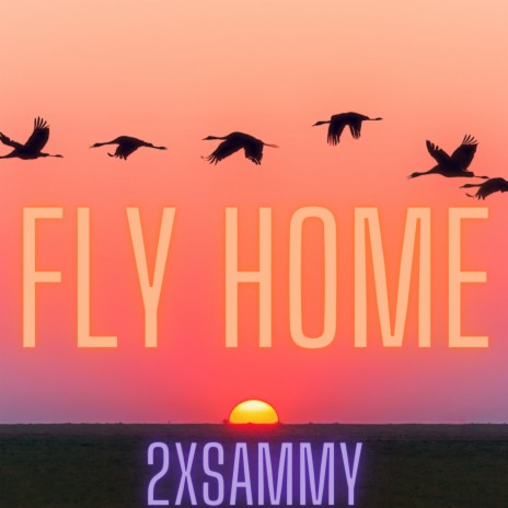 FLY HOME | Boomplay Music