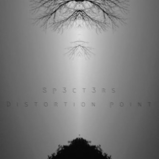 distortion point